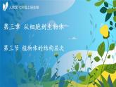 人教版生物七年级上册1.3.3《植物体的结构层次》教学课件