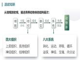 人教版生物七年级上册1.3.3《植物体的结构层次》教学课件