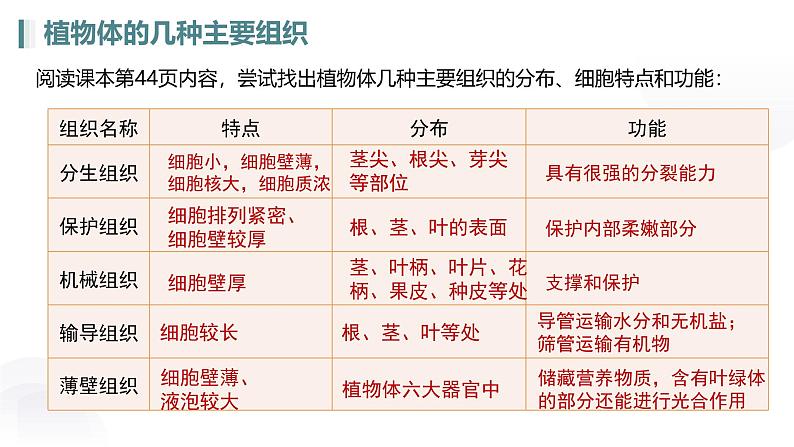 人教版生物七年级上册1.3.3《植物体的结构层次》教学课件第8页