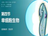 人教版生物七年级上册1.3.4《单细胞生物》（课件 )