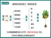 人教版生物七年级上册1.3.4《单细胞生物》课件
