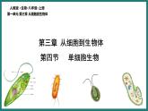 人教版生物七年级上册1.3.4《单细胞生物》课件