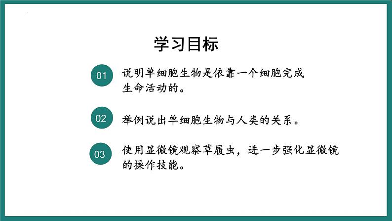 人教版生物七年级上册1.3.4《单细胞生物》课件第4页