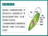 人教版生物七年级上册1.3.4《单细胞生物》课件
