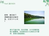 人教版生物七年级上册2.1.1《藻类、苔藓和蕨类植物》教学课件