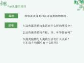 人教版生物七年级上册2.1.1《藻类、苔藓和蕨类植物》教学课件