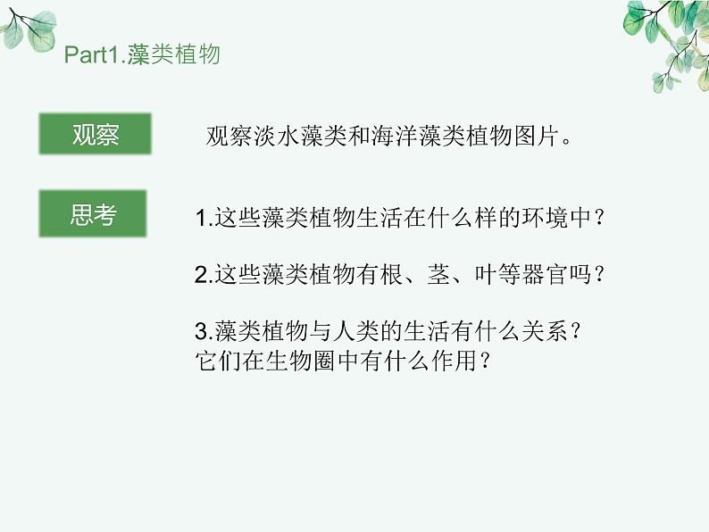 人教版生物七年级上册2.1.1《藻类、苔藓和蕨类植物》教学课件第4页