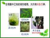 人教版生物七年级上册2.1.1《藻类、苔藓和蕨类植物》课件