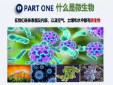 人教版生物七年级上册2.3.1《微生物的分布》课件