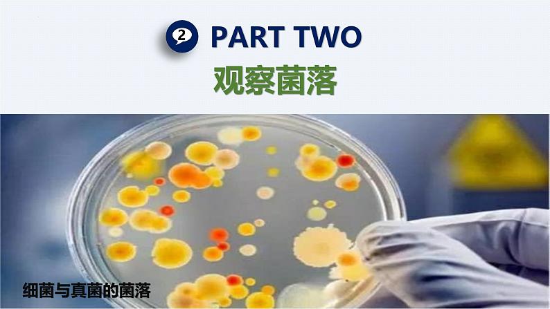 人教版生物七年级上册2.3.1《微生物的分布》课件07