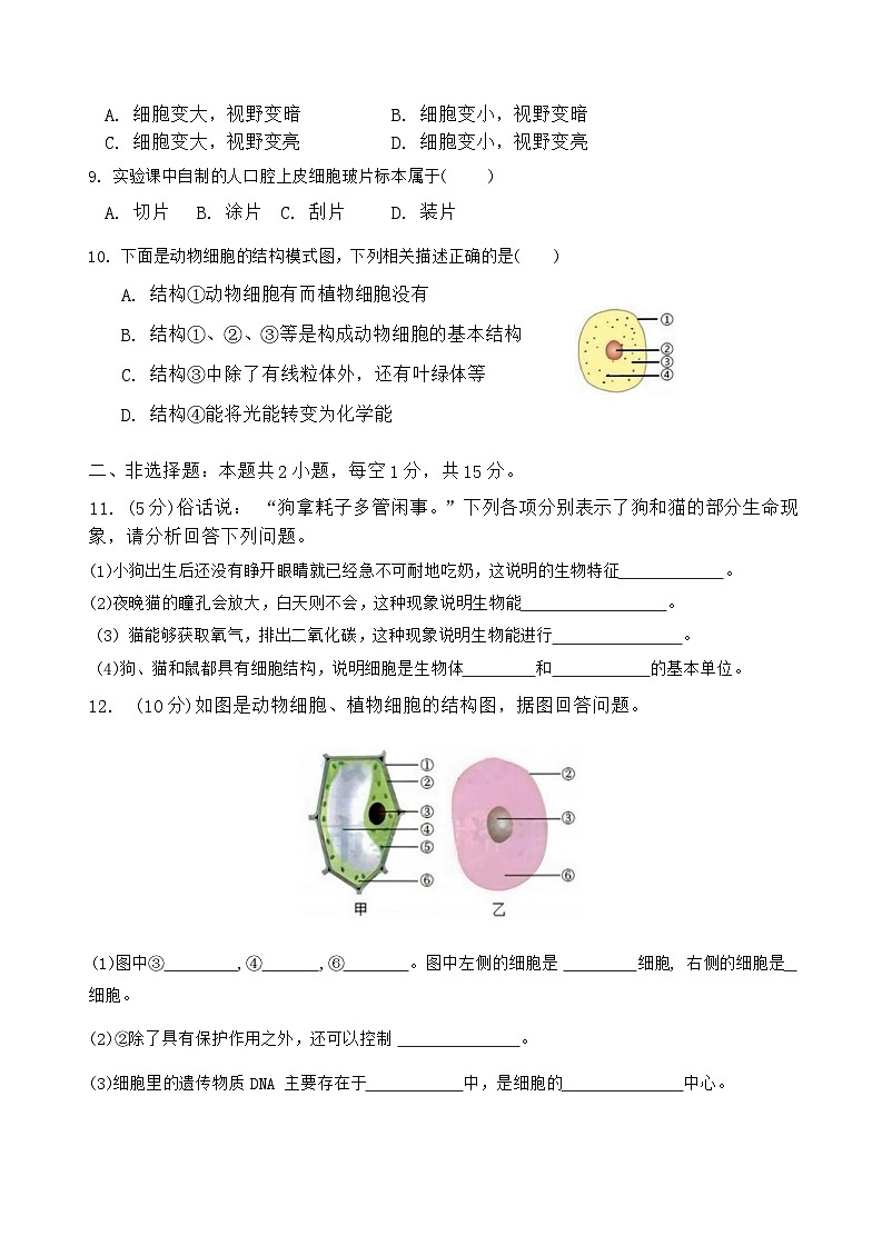 黑龙江省哈尔滨市萧红中学2024-2025学年七年级上学期10月份月考生物试题第2页