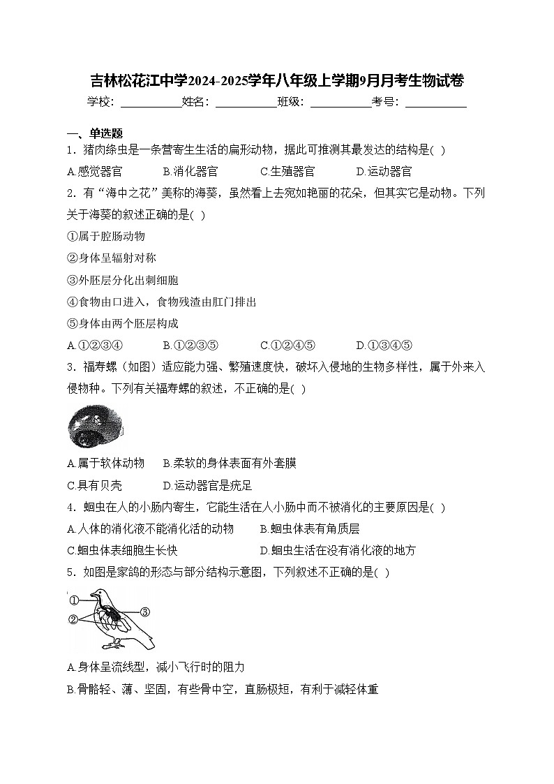 吉林松花江中学2024-2025学年八年级上学期9月月考生物试卷(含答案)第1页