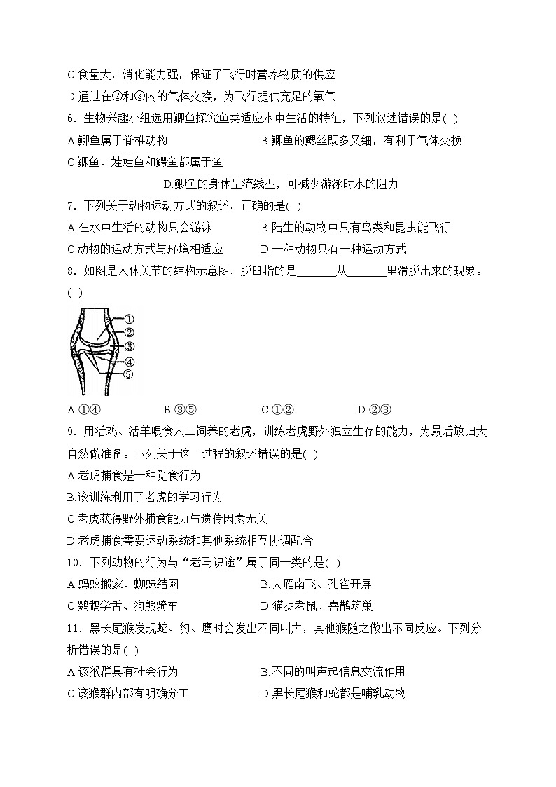 吉林松花江中学2024-2025学年八年级上学期9月月考生物试卷(含答案)第2页