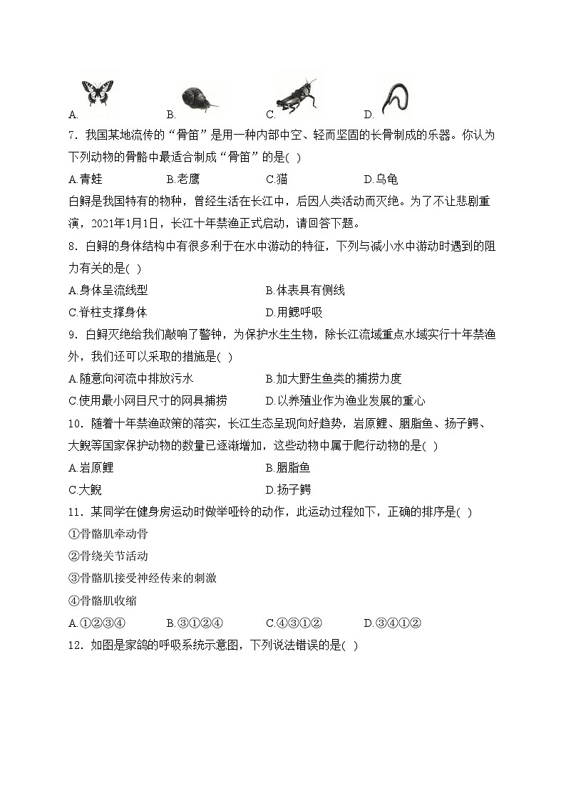山西省临汾市部分学校2024-2025学年八年级上学期第一次能力训练生物试卷(含答案)02