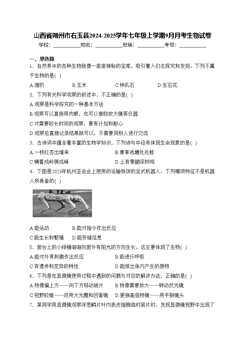 山西省朔州市右玉县2024-2025学年七年级上学期9月月考生物试卷(含答案)第1页