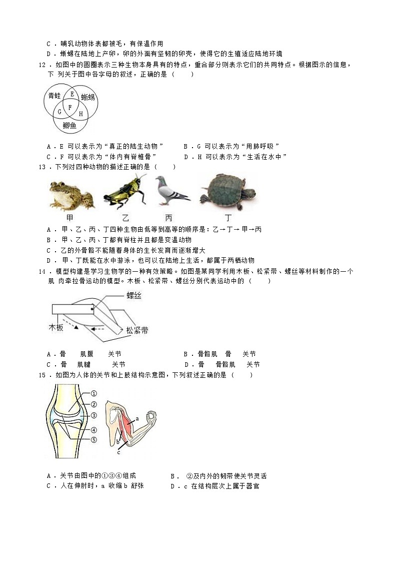 山东省临沂市罗庄区2024--2025学年八年级上学期生物月考试卷02