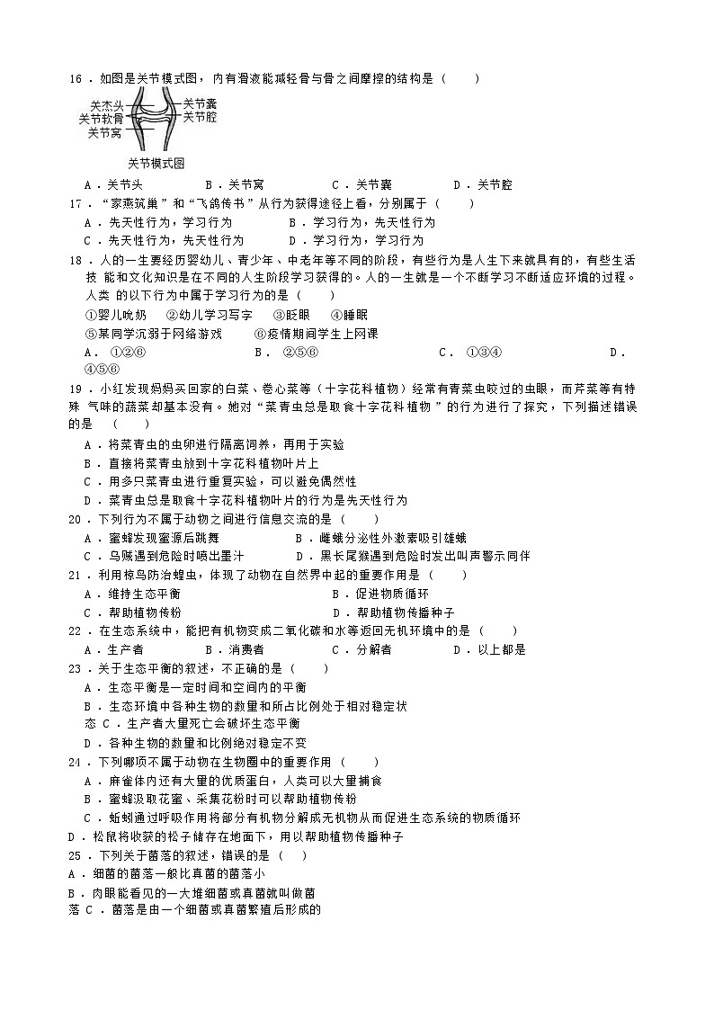 山东省临沂市罗庄区2024--2025学年八年级上学期生物月考试卷03