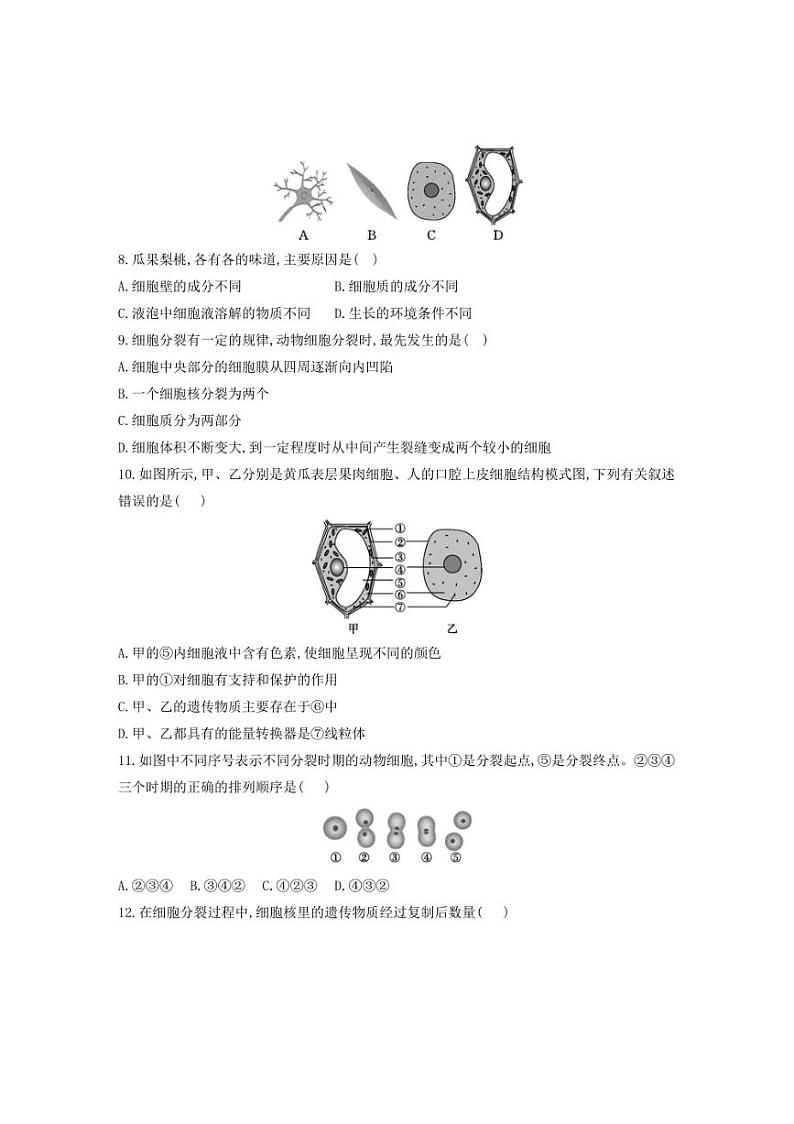 [生物][期中]贵州省黔东南苗族侗族自治州从江县贯洞中学2024～2025学年度七年级上学期期中质量监测试卷(有答案)第2页