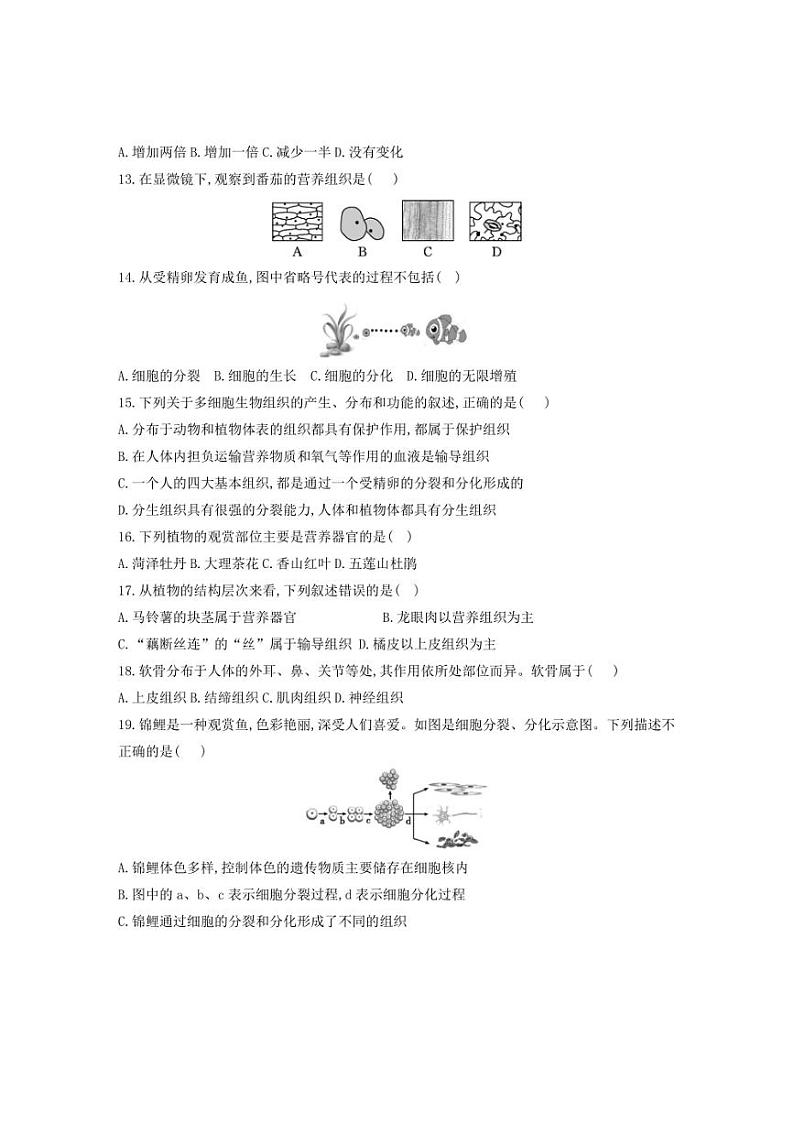 [生物][期中]贵州省黔东南苗族侗族自治州从江县贯洞中学2024～2025学年度七年级上学期期中质量监测试卷(有答案)第3页