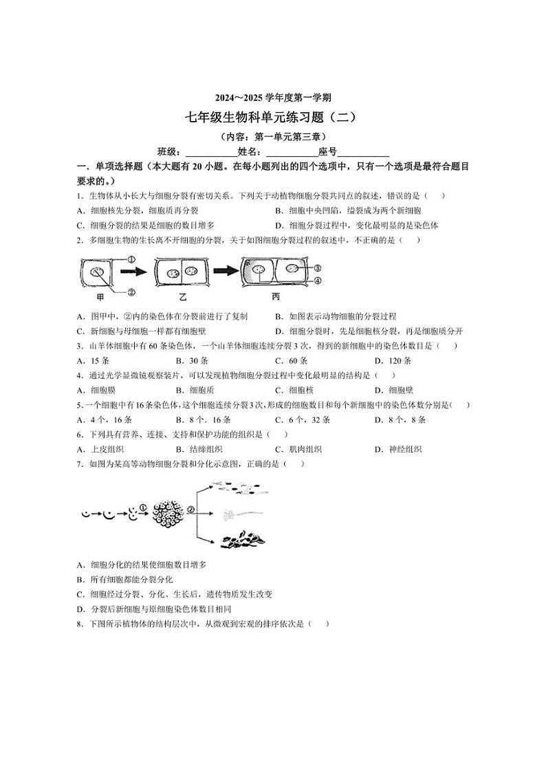 [生物]广东省汕头市潮南区陈店实验学校2024～2025学年七年级上学期10月月考试题(有答案)第1页