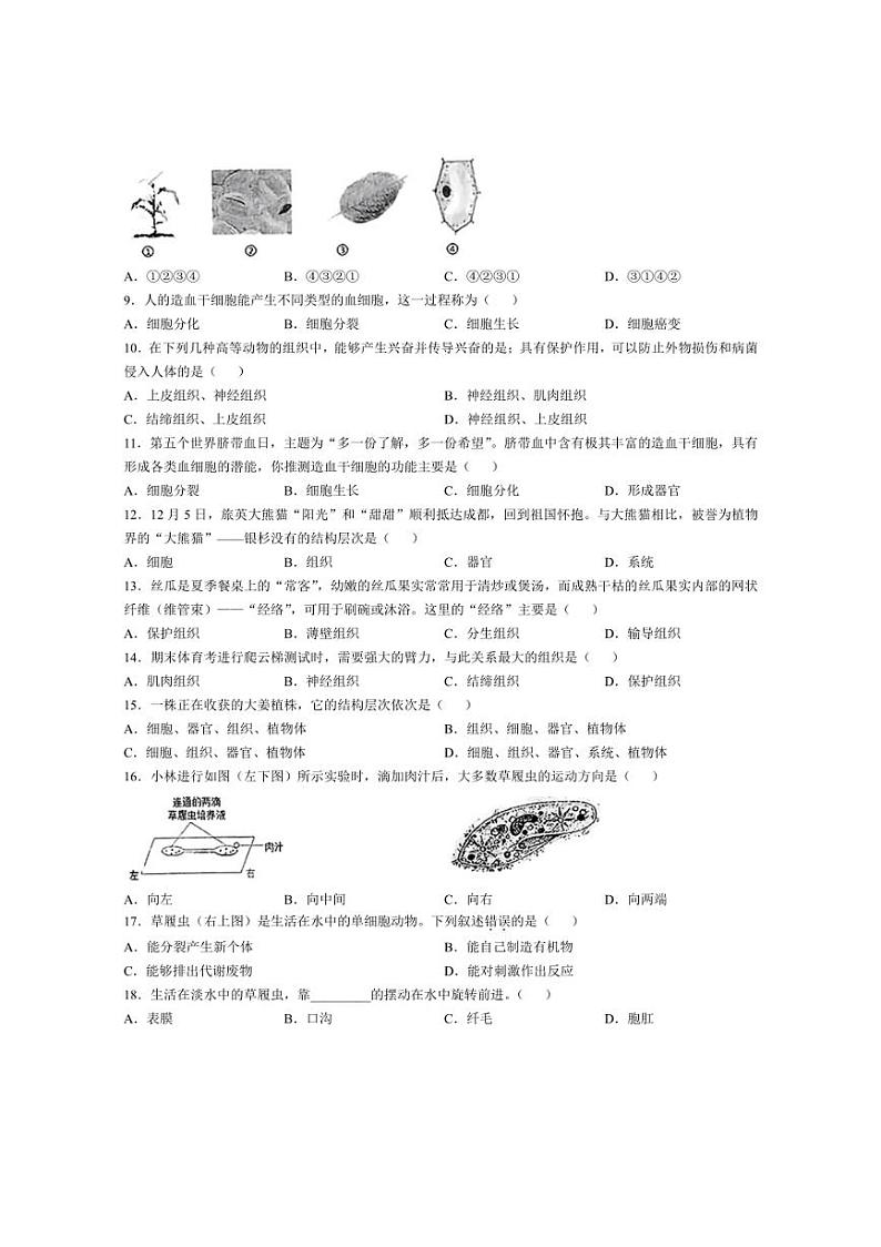 [生物]广东省汕头市潮南区陈店实验学校2024～2025学年七年级上学期10月月考试题(有答案)第2页