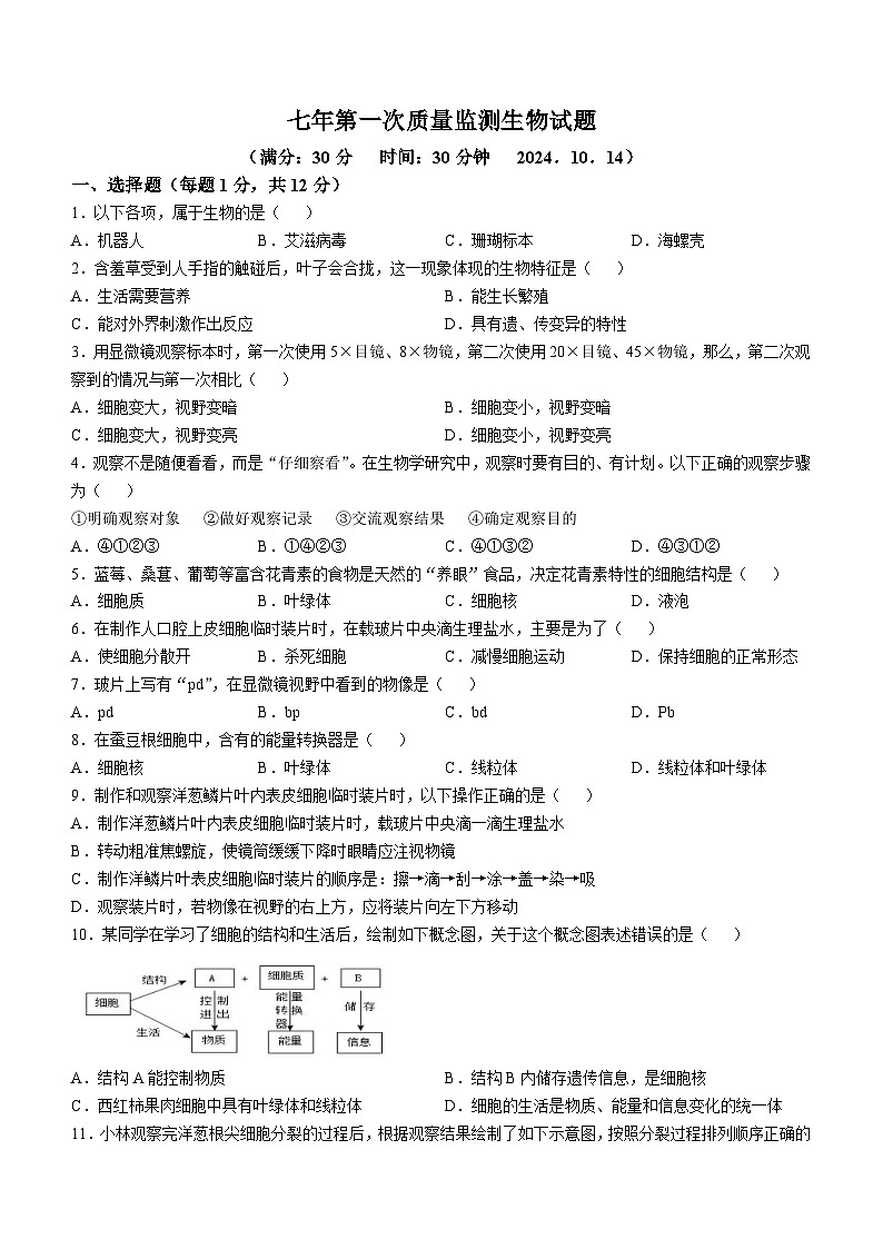 辽宁省营口市第十七中2024-2025学年七年级上学期第一次月考生物试题(无答案)01