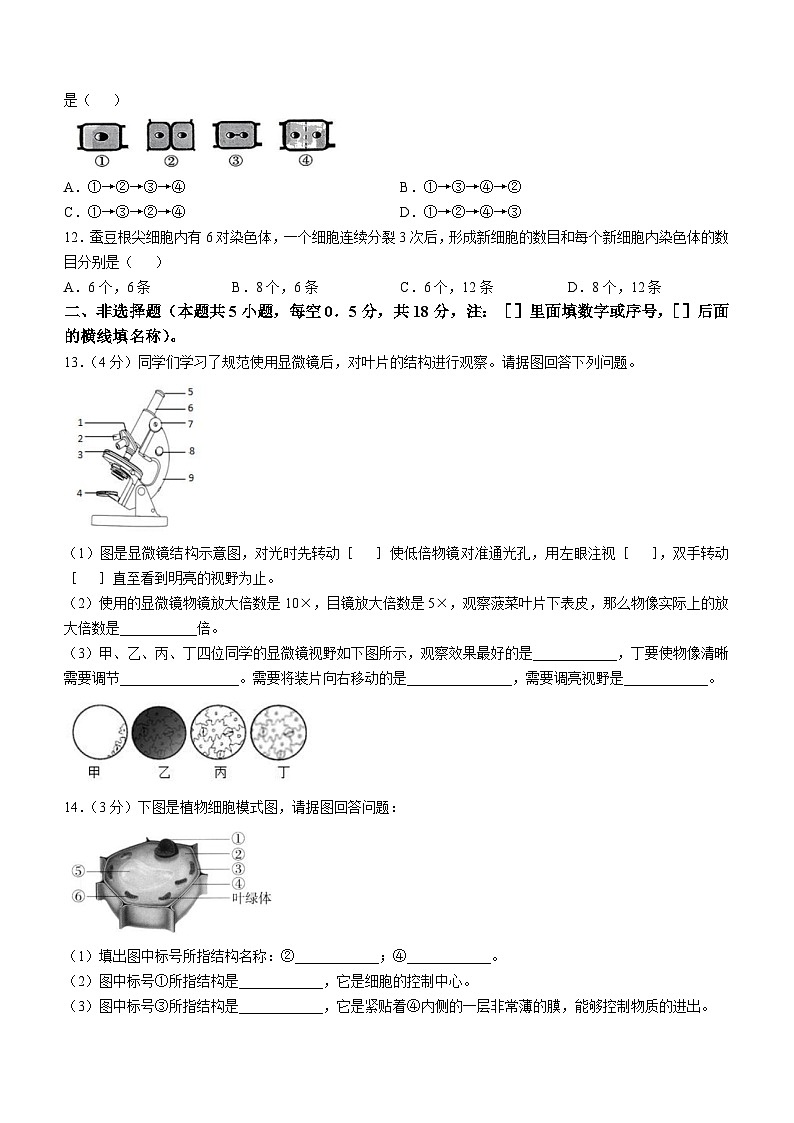 辽宁省营口市第十七中2024-2025学年七年级上学期第一次月考生物试题(无答案)02