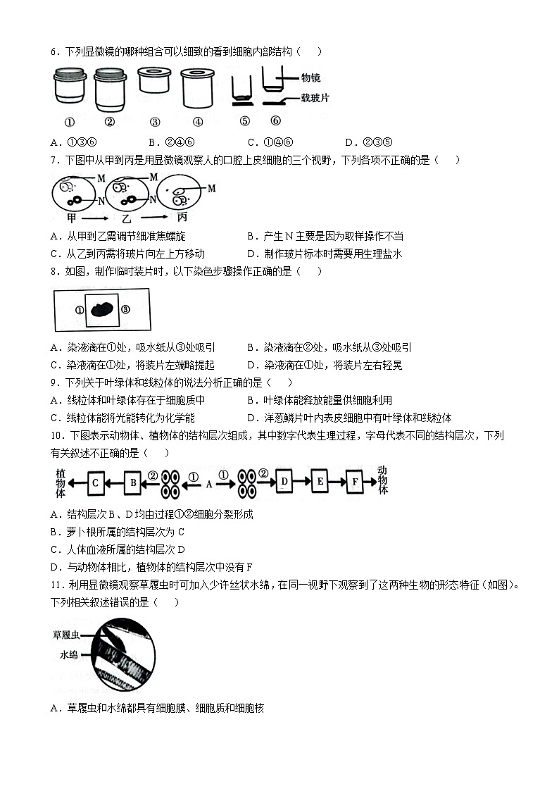 山东省潍坊市潍城区2023-2024学年七年级上学期期中生物学试题第2页