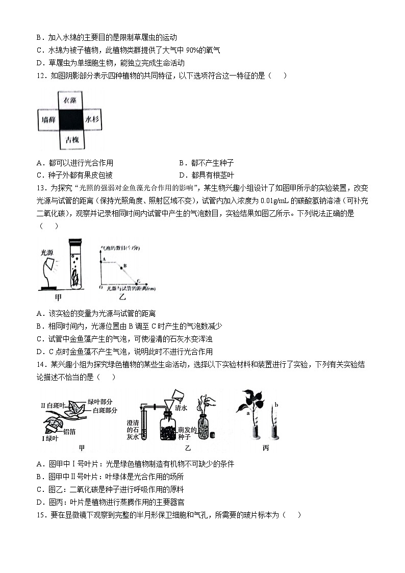 山东省潍坊市潍城区2023-2024学年七年级上学期期中生物学试题第3页