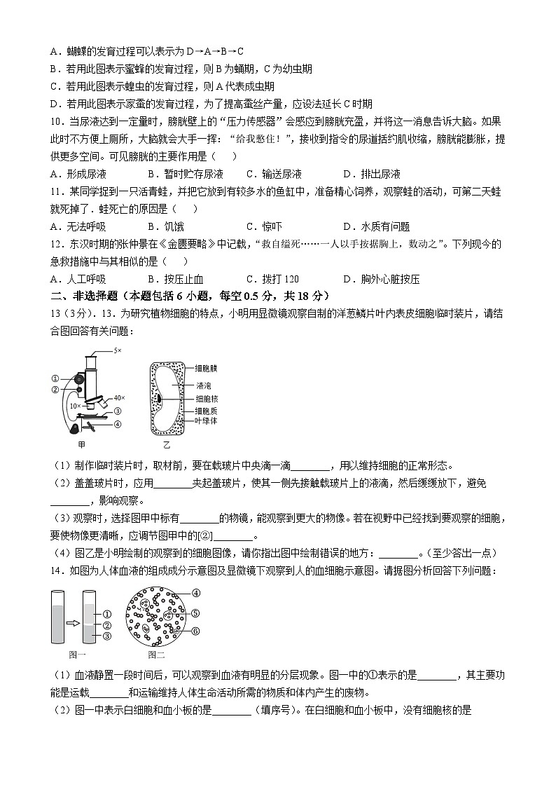 辽宁省鞍山市台安县2023-2024学年八年级下学期期中生物学试题02