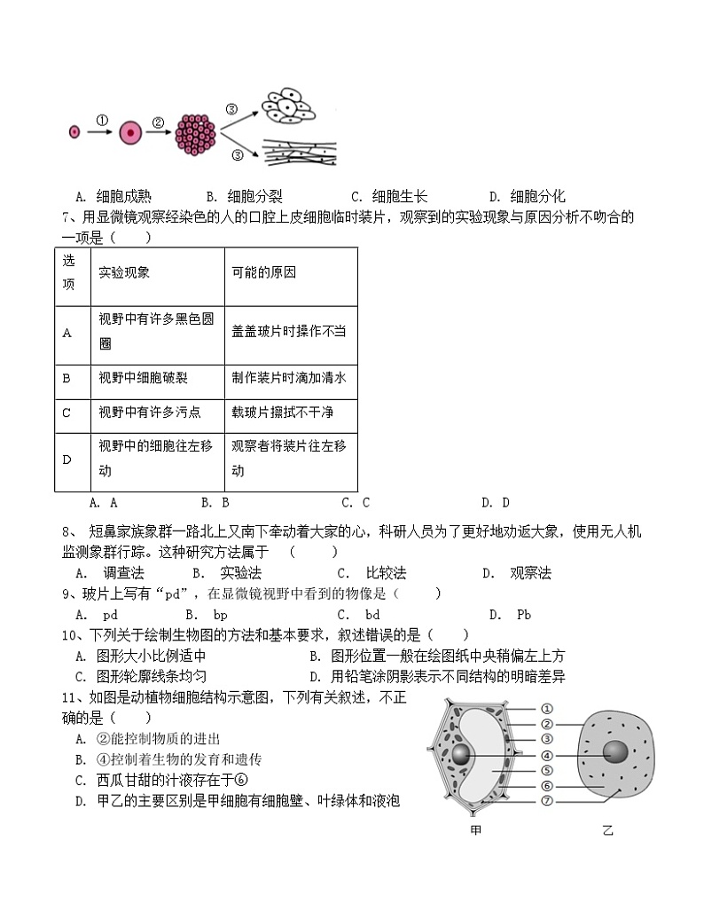 广东省梅州市兴宁市第一中学2024-2025学年七年级上学期第一次月考生物试题第2页