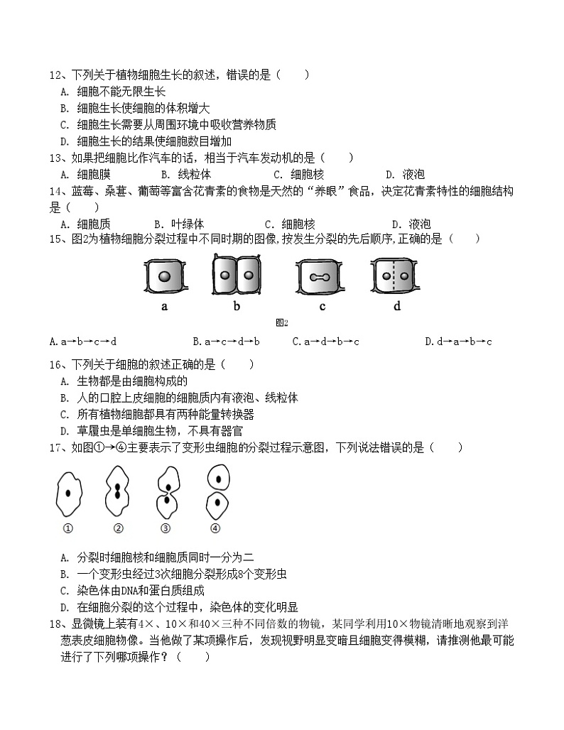 广东省梅州市兴宁市第一中学2024-2025学年七年级上学期第一次月考生物试题第3页