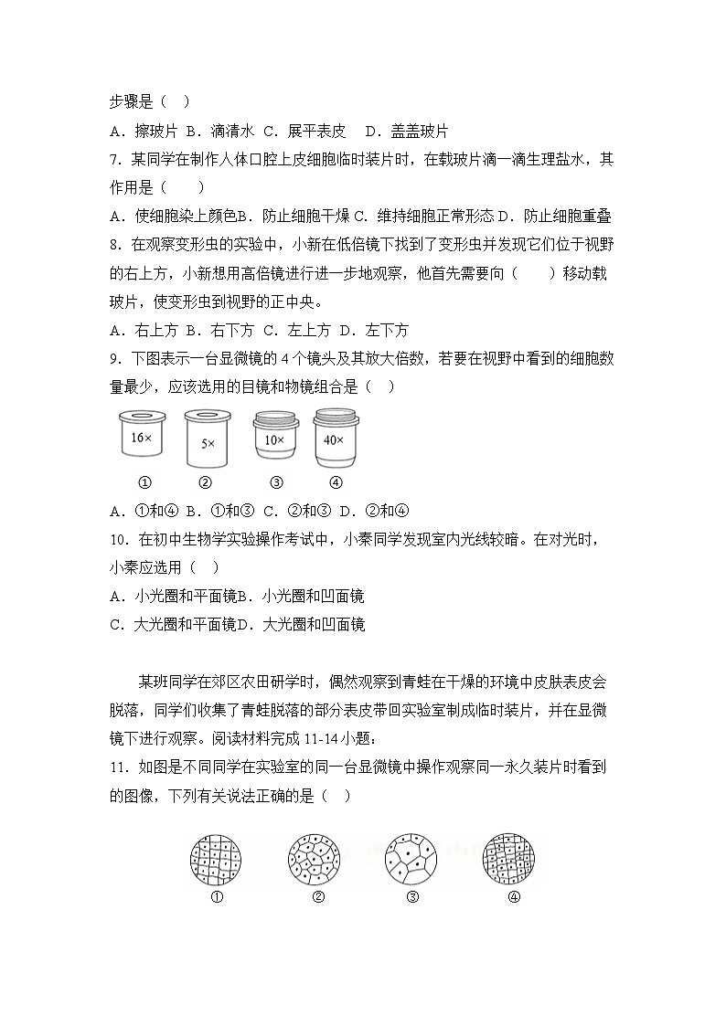 广东省江门市恩平市圣堂中学2024-2025学年七年级上学期10月月考生物试题02