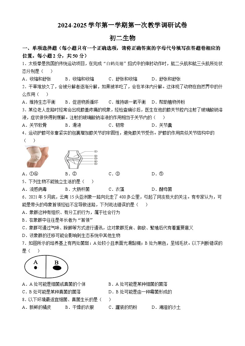 内蒙古鄂尔多斯市东胜区实验中学2024-2025学年八年级上学期10月月考生物试题(无答案)01