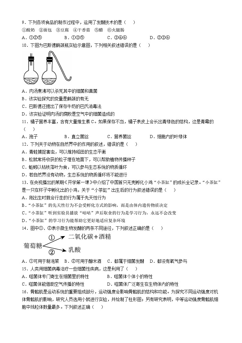 内蒙古鄂尔多斯市东胜区实验中学2024-2025学年八年级上学期10月月考生物试题(无答案)02