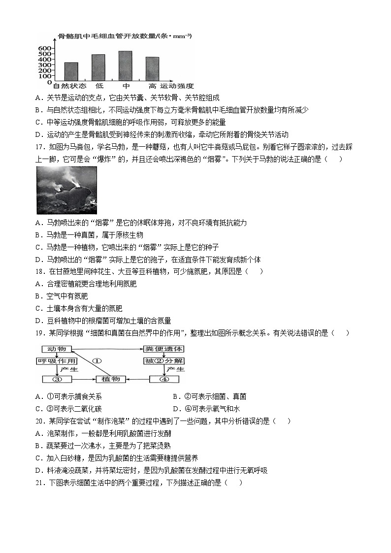 内蒙古鄂尔多斯市东胜区实验中学2024-2025学年八年级上学期10月月考生物试题(无答案)03
