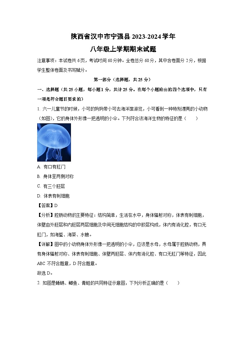 [生物][期末]陕西省汉中市宁强县2023-2024学年八年级上学期期末试题(解析版)第1页