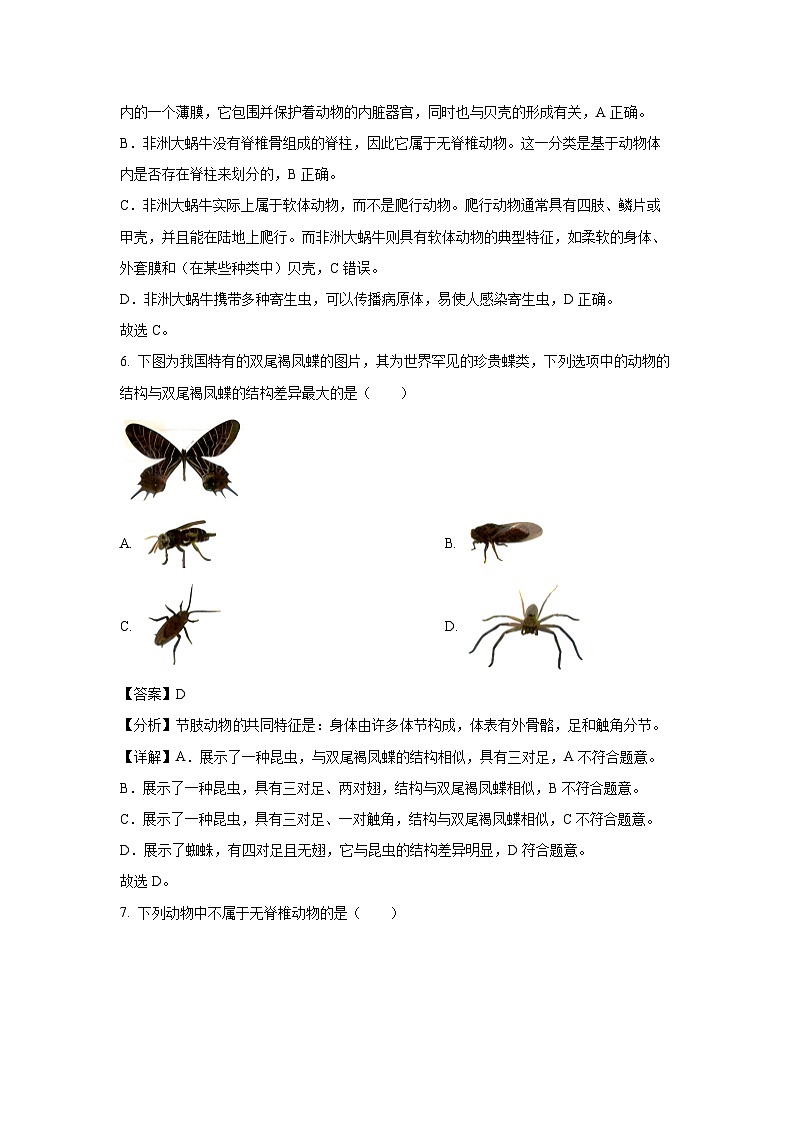 [生物]河南省周口市商水县2024-2025学年八年级上学期9月月考试题(解析版)03