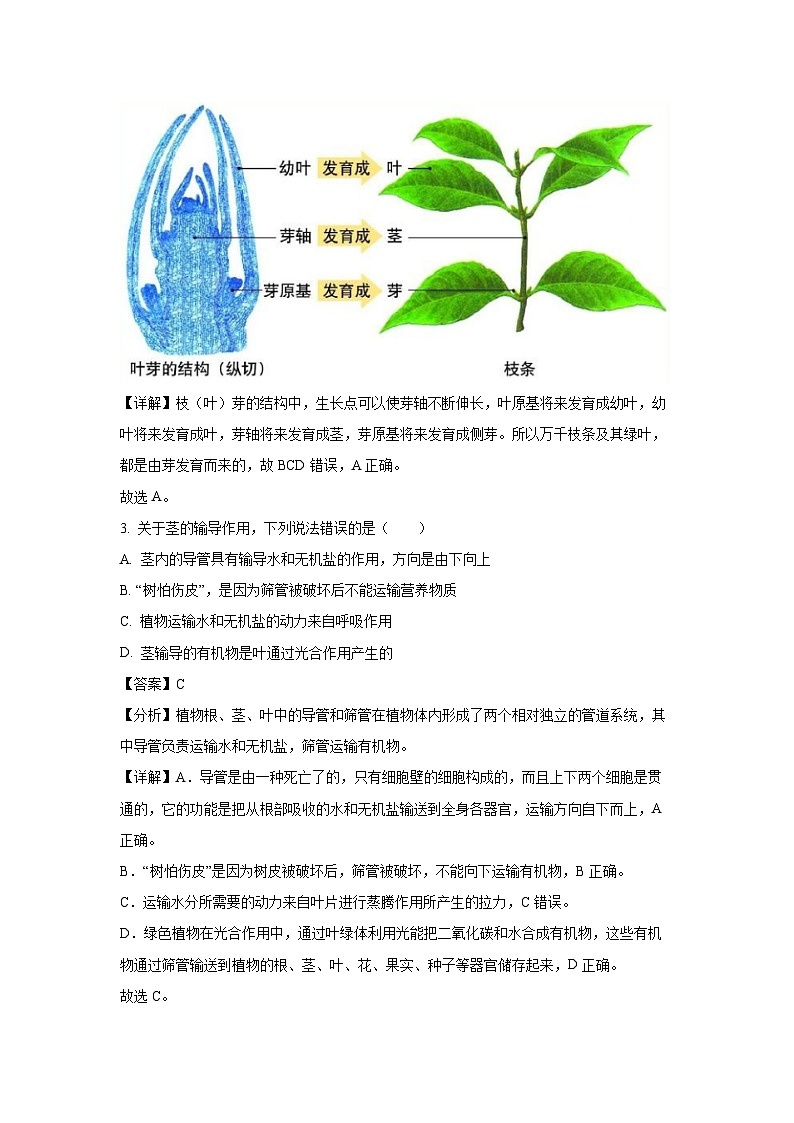[生物][期末]江西省吉安市吉州区2023-2024学年八年级上学期期末试题(解析版)第2页