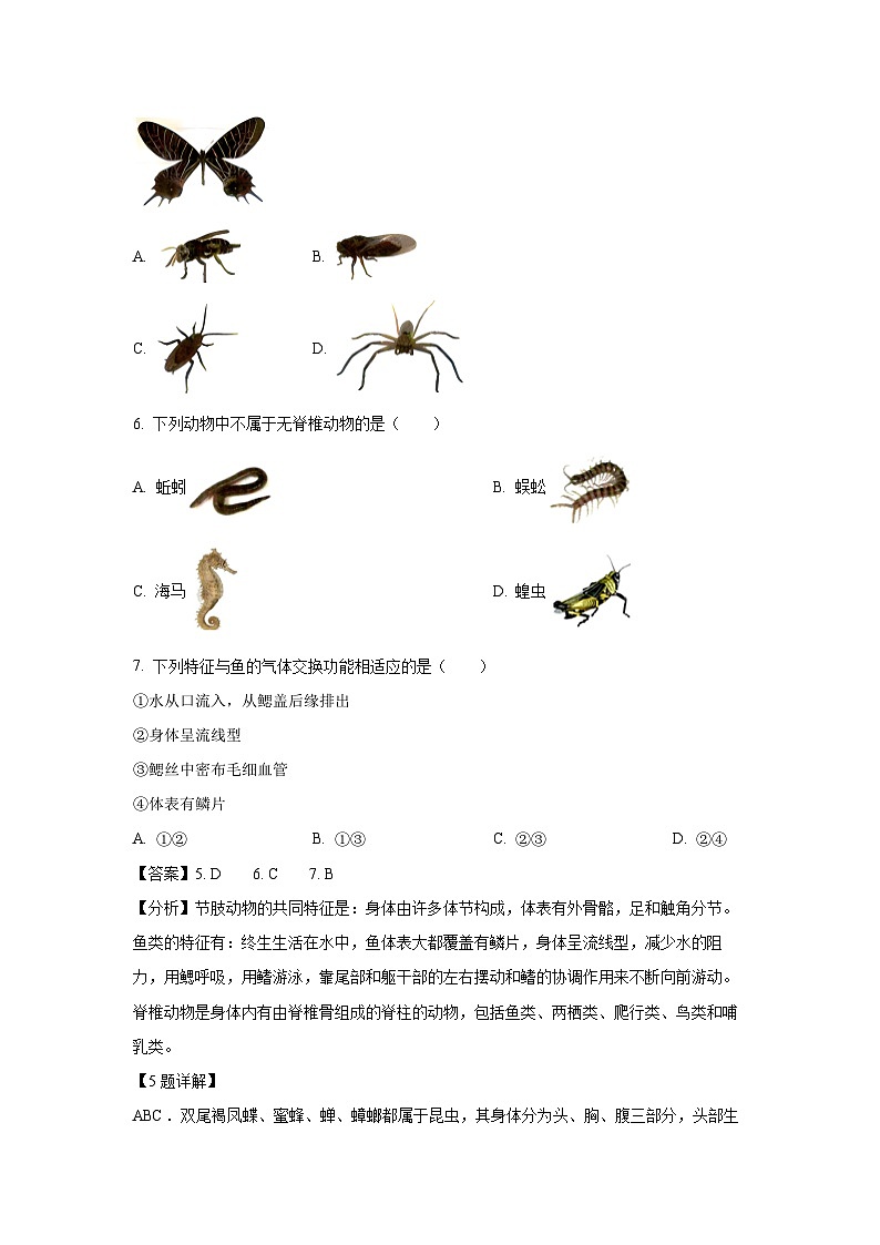 [生物]山西省朔州市朔城区多校2024-2025学年八年级上学期阶段评估(A)学月考试题(解析版)03