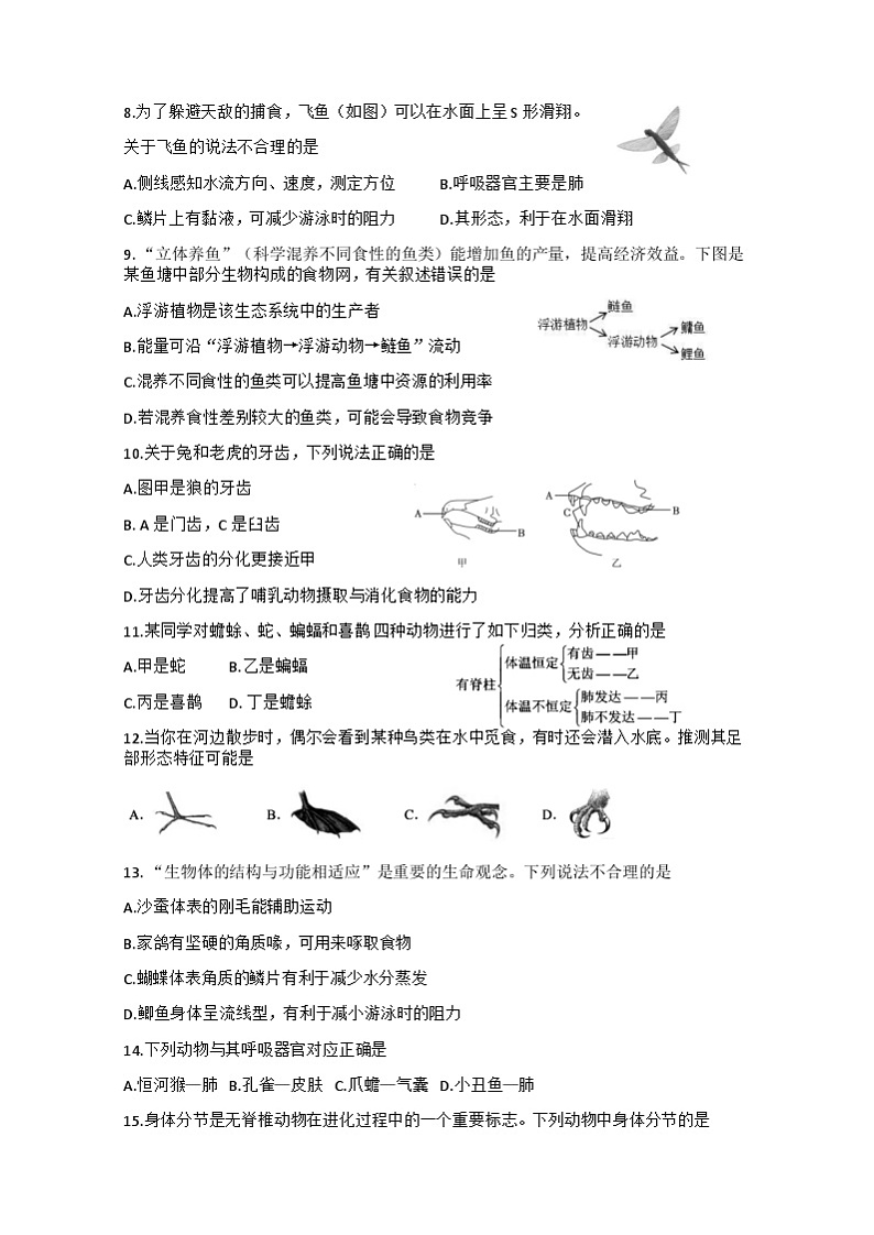 四川省德阳市中江县2024-2025学年八年级上学期10月月考生物试题02