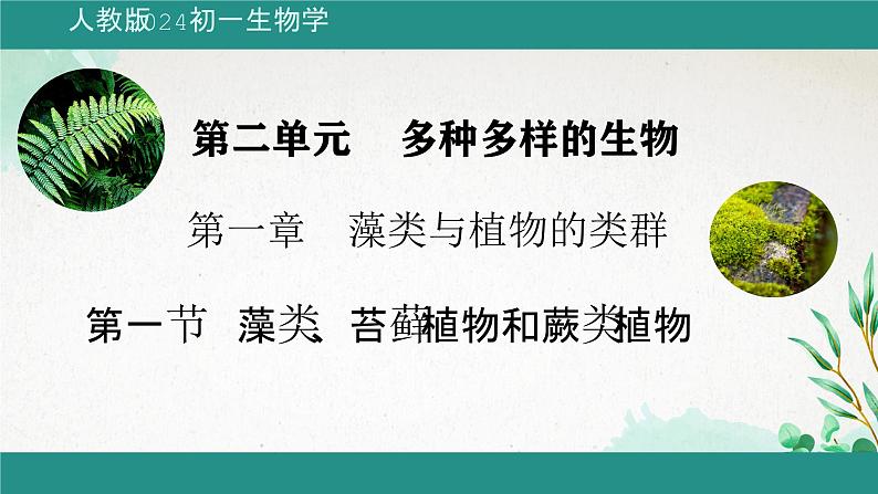 人教版生物七年级上册2.1.1《藻类、苔藓植物和蕨类植物》教学课件01