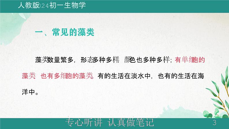 人教版生物七年级上册2.1.1《藻类、苔藓植物和蕨类植物》教学课件03