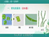 人教版生物七年级上册2.1.1《藻类、苔藓植物和蕨类植物》教学课件