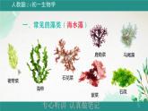 人教版生物七年级上册2.1.1《藻类、苔藓植物和蕨类植物》教学课件