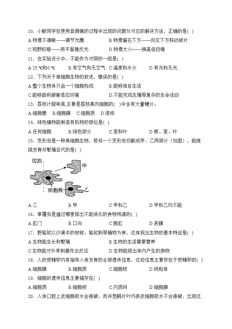 广东省揭阳市揭西县五校联考2024-2025学年七年级上学期第一次月考生物试卷(含答案)02