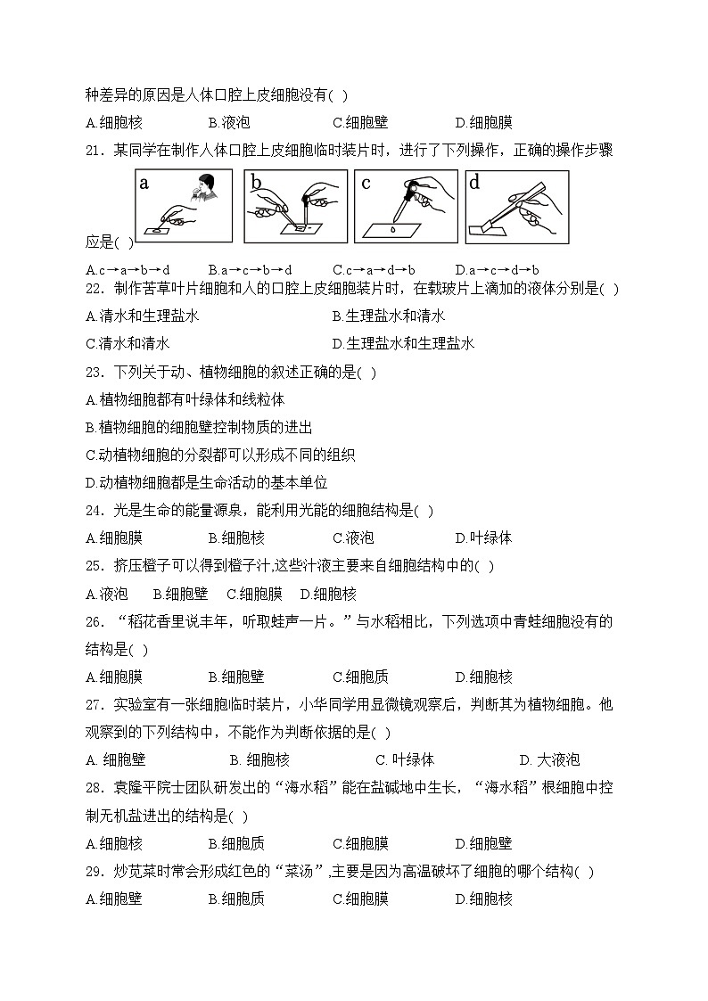 广东省揭阳市揭西县五校联考2024-2025学年七年级上学期第一次月考生物试卷(含答案)03