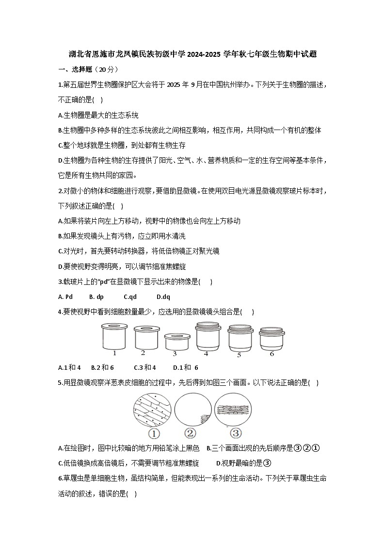 湖北省恩施市龙凤镇民族初级中学2024-2025学年七年级上学期期中生物试题第1页