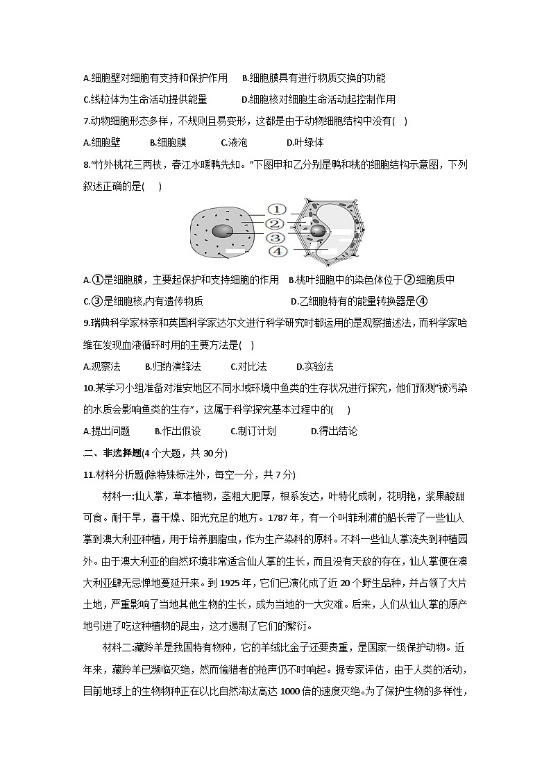 湖北省恩施市龙凤镇民族初级中学2024-2025学年七年级上学期期中生物试题第2页