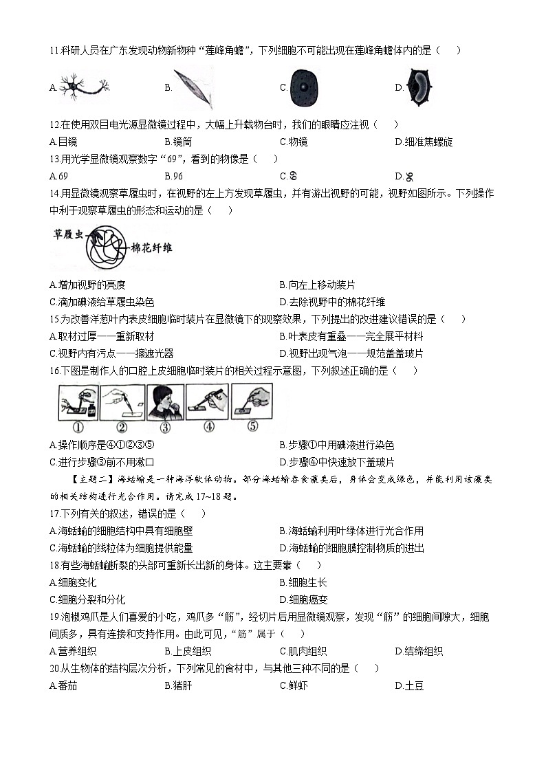 广东省湛江市雷州市第八中学2024-2025学年七年级上学期10月月考生物试题(无答案)02